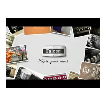 Piano de cuisson gaz FALCON PROFESSIONAL + FXP 90 Mixte BEIGE